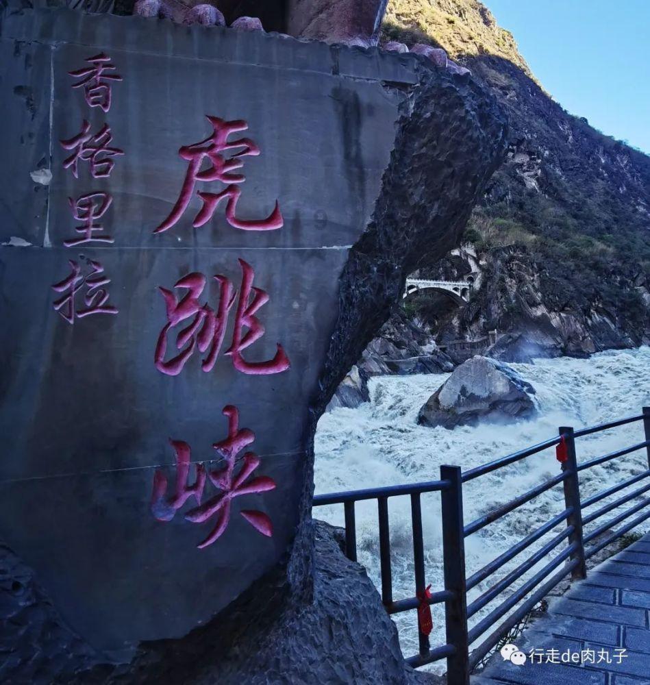 燃烧吧大脑装瓶子游戏