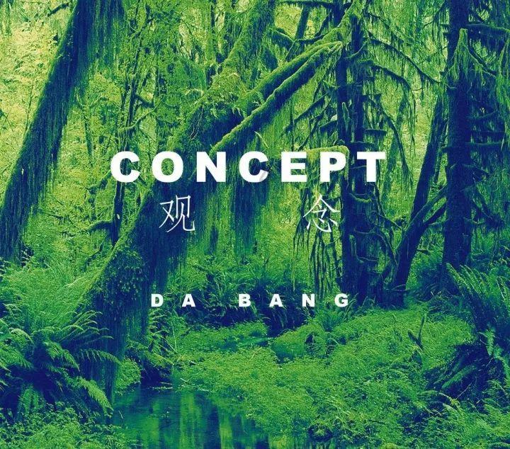 创作猫