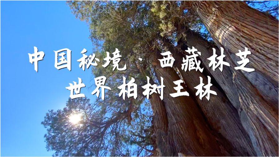 《古董局中局3》即将来袭，男女主角是谁？你期待吗？游戏画面