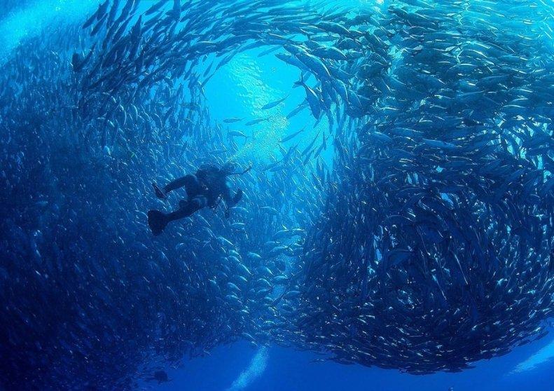 虫虫助手下载