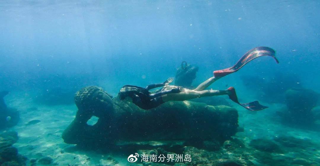 牛头梗和比特犬哪个厉害,能详细介绍一下吗—精准解答,搜罗天下问题