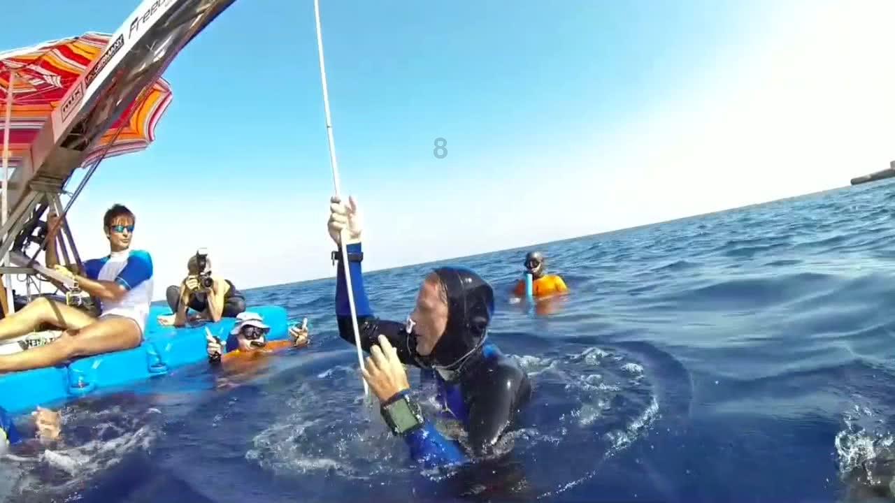 虫虫助手下载