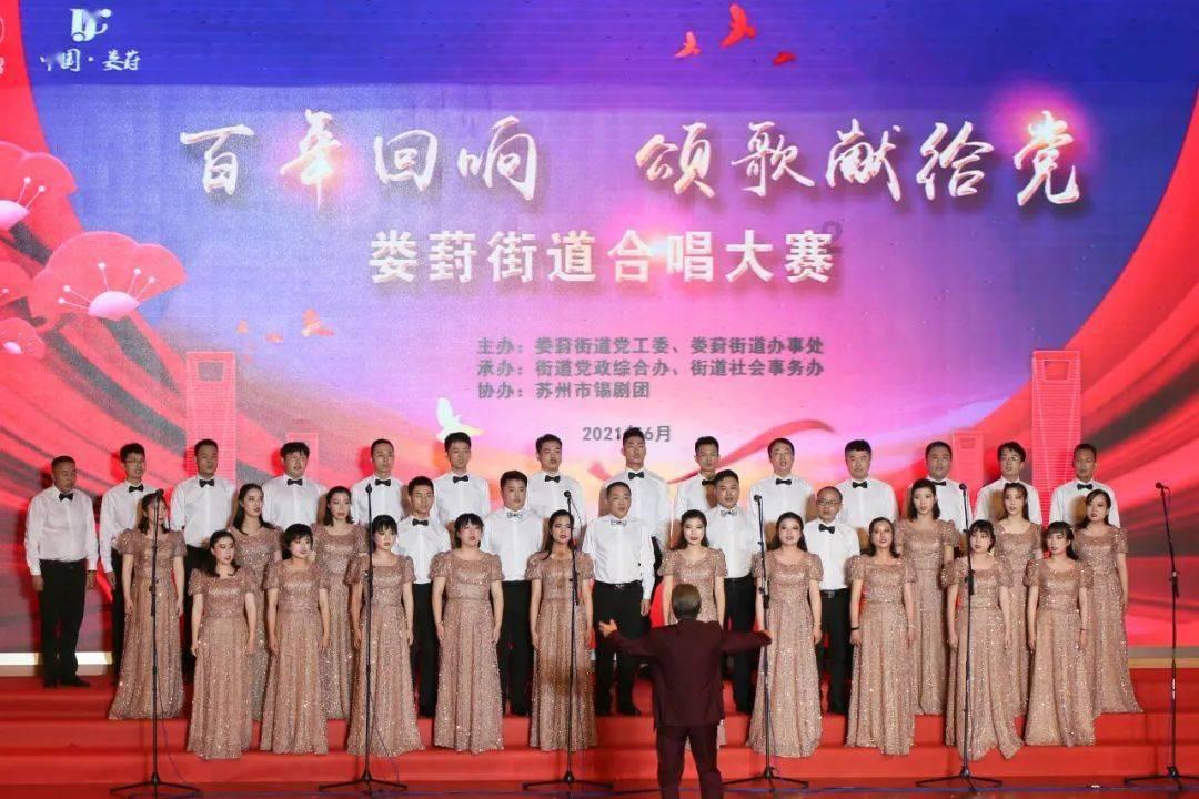 胆小流浪猫拯救被虐待的斗牛犬，当它们逃出生天时，遇见了……