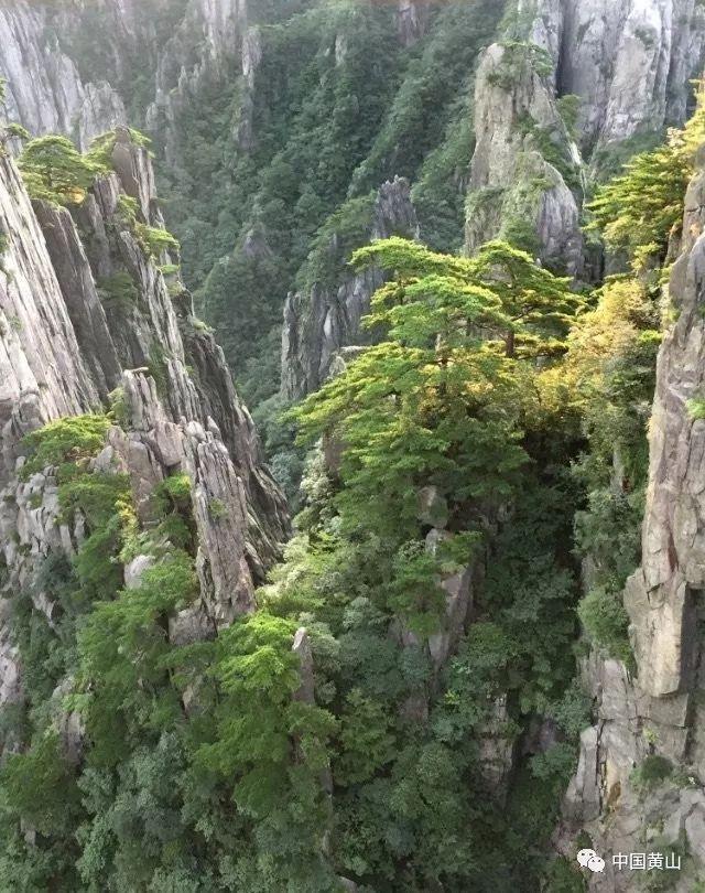 萌兔兔闯关