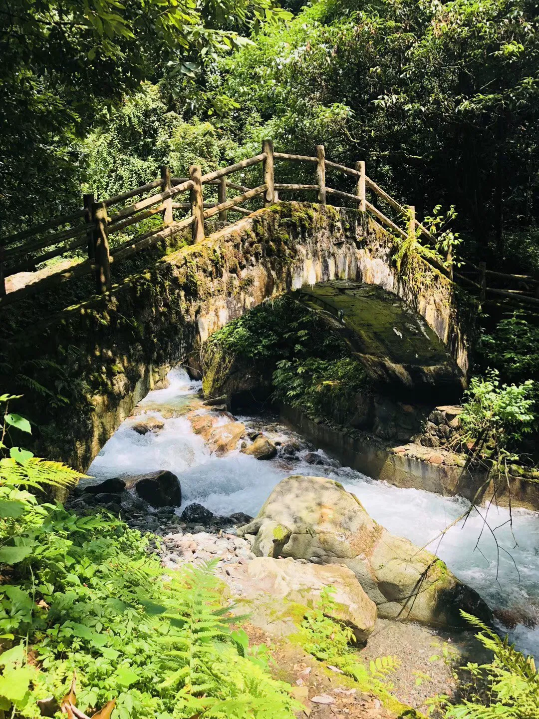 袋鼠逃生