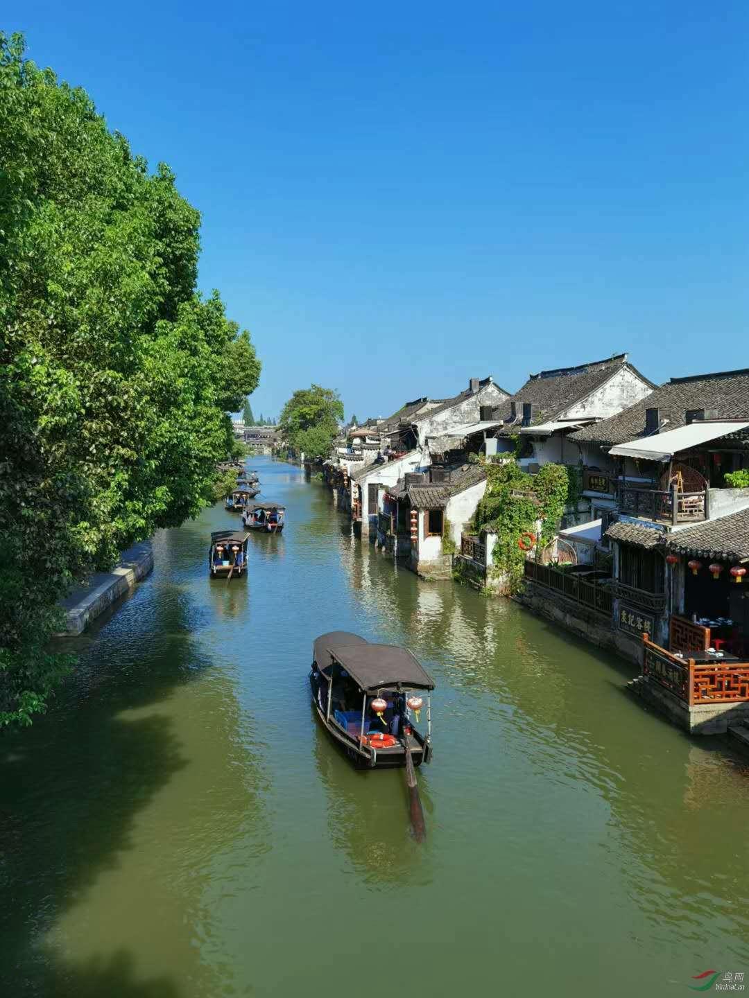 汉王纷争