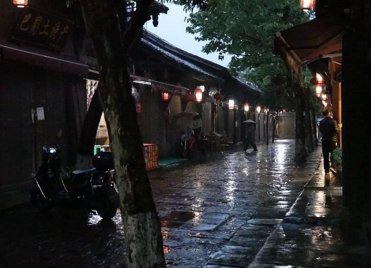 拯救昆虫群