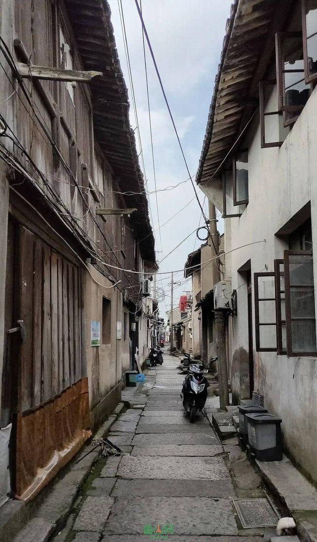 全民烧脑3去广告版